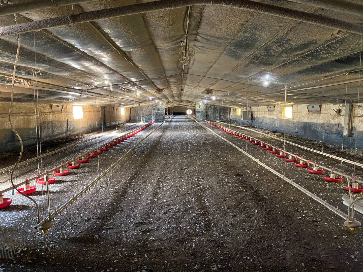 91.7 +/ Acre Poultry Farm in Ohio County, KY Kurtz Auction & Realty Co.